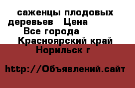 саженцы плодовых деревьев › Цена ­ 6 080 - Все города  »    . Красноярский край,Норильск г.